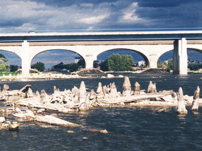 Pieux gallo-romains très visibles lorsque l'eau est basse