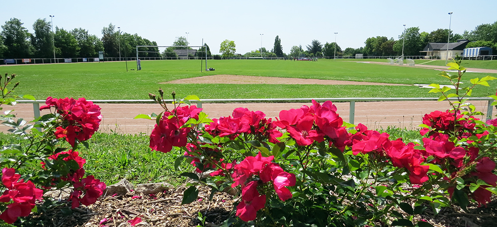 Terrain d'honneur et piste d'athlétisme Terrain d'honneur et piste d'athlétisme